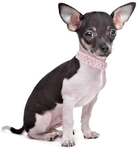 Rhinestone Dog Collar, Bling Rhinestone PU Leather Crystal Diamond Pet Dog Cat Puppy Collar Black S M L XL (M, Yellow)