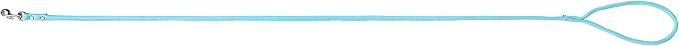 Light Blue Soft Leather Dog Leash for Small,Medium Dog Walking, Comfortable Leather Handle, 4 ft Light Blue