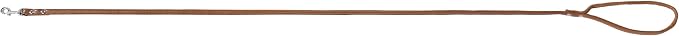 Brown Soft Leather Dog Leash for Small,Medium Dog Walking, Comfortable Leather Handle, 4 ft Brown