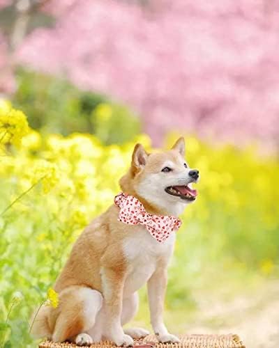 Elegant little tail Valentine's Dog Collar with Bow, Bow Tie Pet Collars, Cute Heart Bowtie Puppy Dog Collar for Medium Dogs