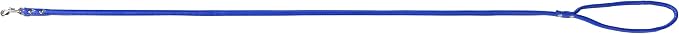 Deep Blue Soft Leather Dog Leash for Small,Medium Dog Walking, Comfortable Leather Handle, 4 ft Deep Blue