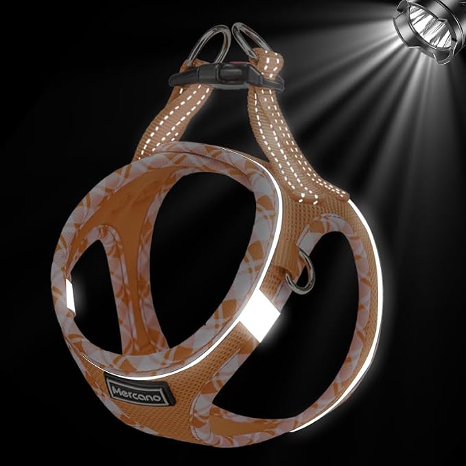 Mercano Soft Mesh Dog Harness and Leash Set, Step-in Reflective Breathable Lightweight Vest Harnesses with Safety Buckle for Small Dogs, Cats (Orange, L)