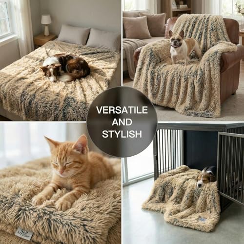 PJYuCien Dog Blanket for Dogs, Puppies and Pets, Lightweight & Portable Fluffy Fleece Throw, Super Soft Plush Cat Blanket for Couch/Car Seat/Furniture, Machine Washable, 30"x40", Beige