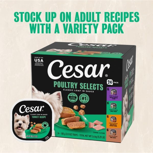 Cesar Classic Loaf in Sauce Adult Wet Dog Food with Duck, Oven Roasted Chicken, Grilled Chicken, and Turkey Recipes, 3.5 oz. Easy Peel Trays, Variety Pack (24 Count, Pack of 1)