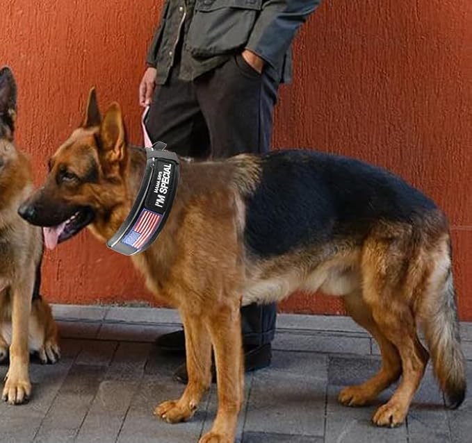 Tactical Dog Collar with Handle for Medium Dogs, 2.5"Wide Thick Heavy Duty Metal Buckle Dog Collar with Soft Neoprene Padded Lining, Military Service Reflective Collar for Training (Black,M)
