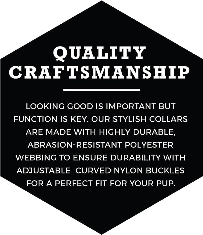 Wolfgang Heavy Duty, Adjustable Dog Collar with Quick Release Nylon Buckle for Walking & Training, DarkSkies Print, Small