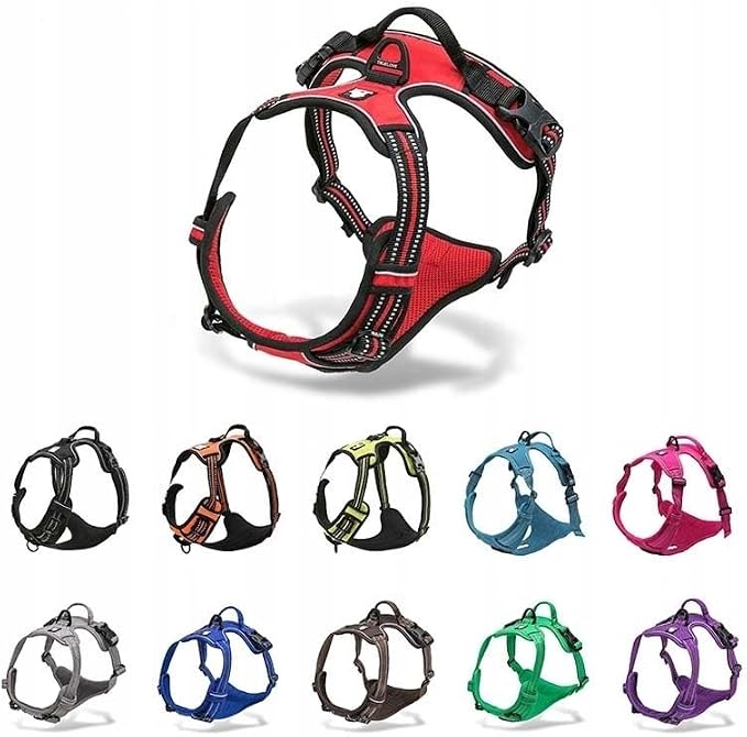 TRUE LOVE Adjustable No-Pull Dog Harness Reflective Pup Vest Harnesses Comfortable Control Brilliant Colors Truelove TLH5651(Brown,S)