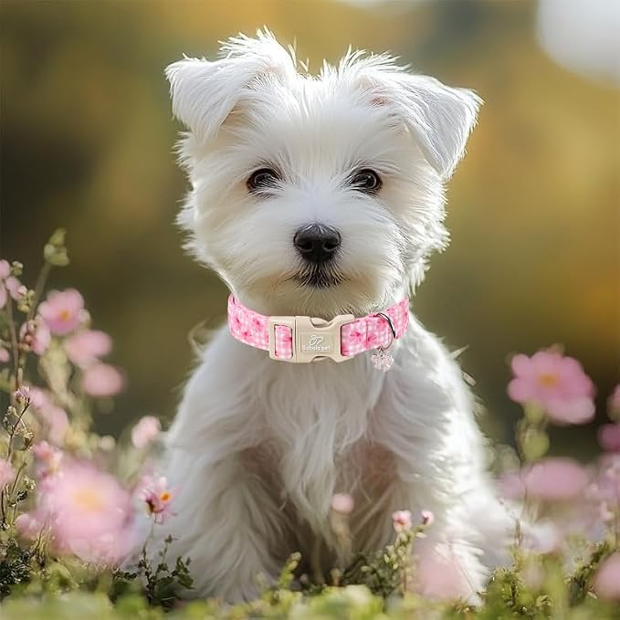 Girl Dog Collar Pink Gingham Bow Dog Collars for Puppy Small Dogs - Lightweight Adjustable Girly Spring Female Dogs Everyday Collar with Safety Buckle XS