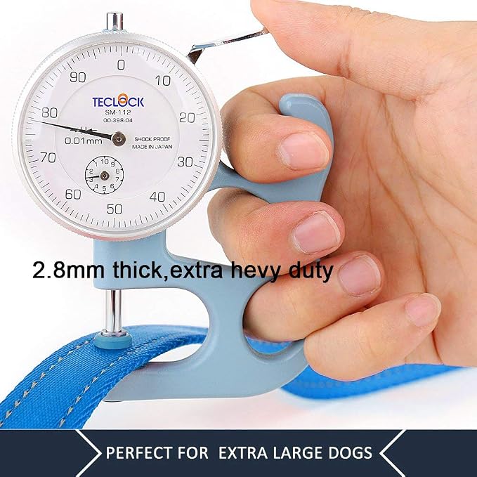 Plutus Pet Double Handle Dog Leash 5ft, Heavy Duty, Reflective Dual Handle Dog Leash for Safety Training, for Medium Large Dogs,2 Handle Leads(Blue)