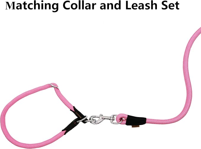 Dog Leash, Braided Rope Traction – Walking Training Lead for Small Dogs ((1/3") x 6FT, Pink)