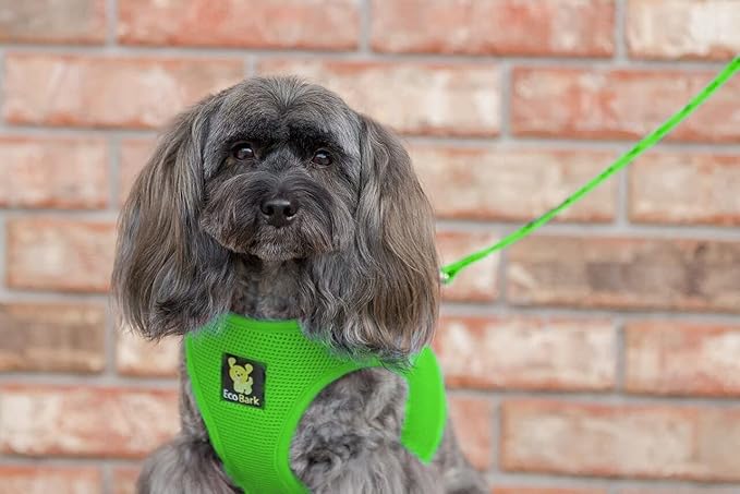 EcoBark Premium Dog Harness - Luxury Soft Dog Harnesses for Puppies & Dogs - Step in Vest Body Halter Under 19 lbs (Green)