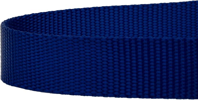 Country Brook Petz - Everyday Nylon Dog Leash - Strong, Durable, Solid Color Leash with Easy to Use Snap - 25+ Colors (1 Inch Wide, 4 Foot, Royal Blue)