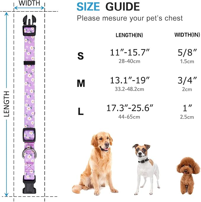 Daisy Girl Dog Collars, Floarl Design for Medium Dogs, Purple