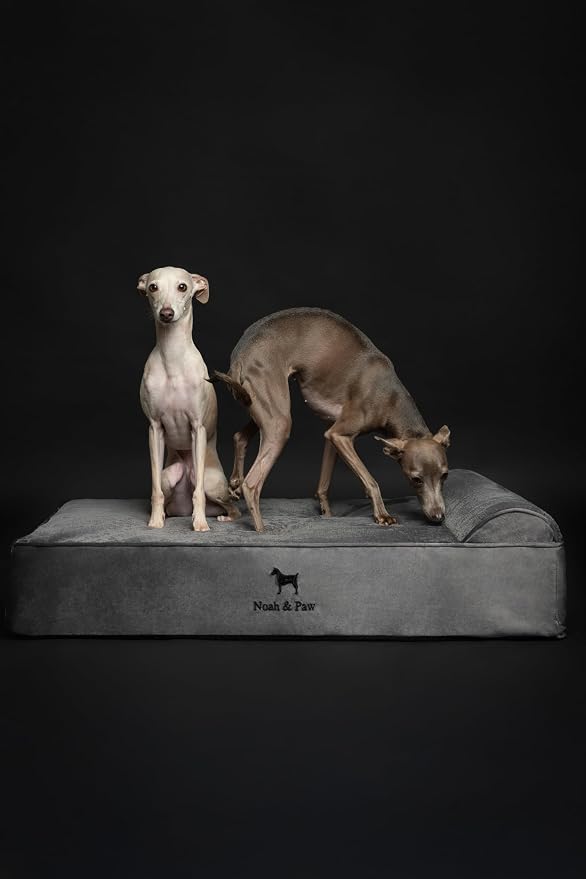NOAH & PAW Large Dog Bed, 35x25x8.7 Inch, Orthopedic Dog Beds, Eggshell Memory Foam Infused with Cooling Gel, Water Resistant, Machine Washable, Includes Inner Cover (Velvet Collection)