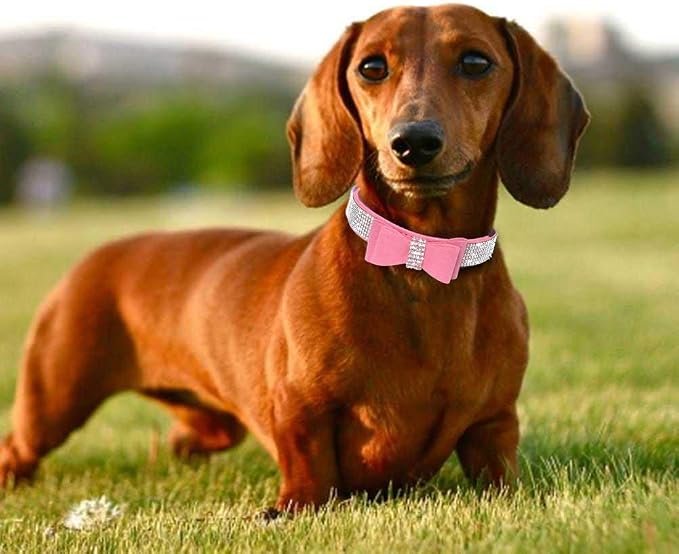 Small Dog Collars for Female Dogs, Cute Bling Rhinestone Crystal with Bow Tie Glitter Diamond Bowtie Puppy Collars for XXS XS Small Medium Large Pet Girls Dogs Cats(M, Pink-1)