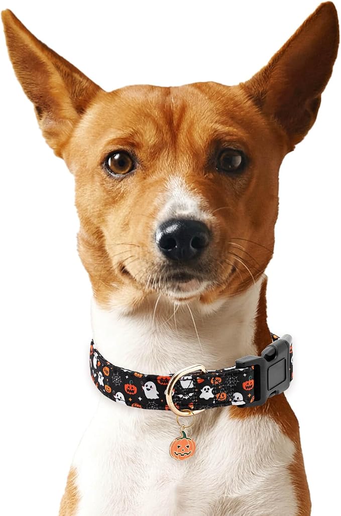 Fall Dog Collar,Soft and Cute Halloween Collars with Pumpkin Patterned Design for Girl Female Boy Dogs,Adjustable Buckle Puppy Collar for Small Medium Large Dogs (Black Pumpkin, S)