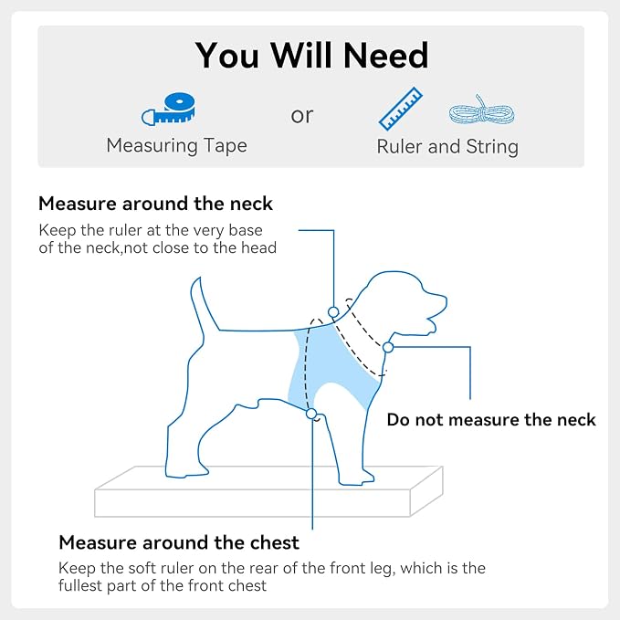 Joytale Small Dog Harness, Breathable Mesh Step-in Vest, Reflective Soft Padded Harnesses for Cats and Puppies Dogs, Sky Blue, XXXS
