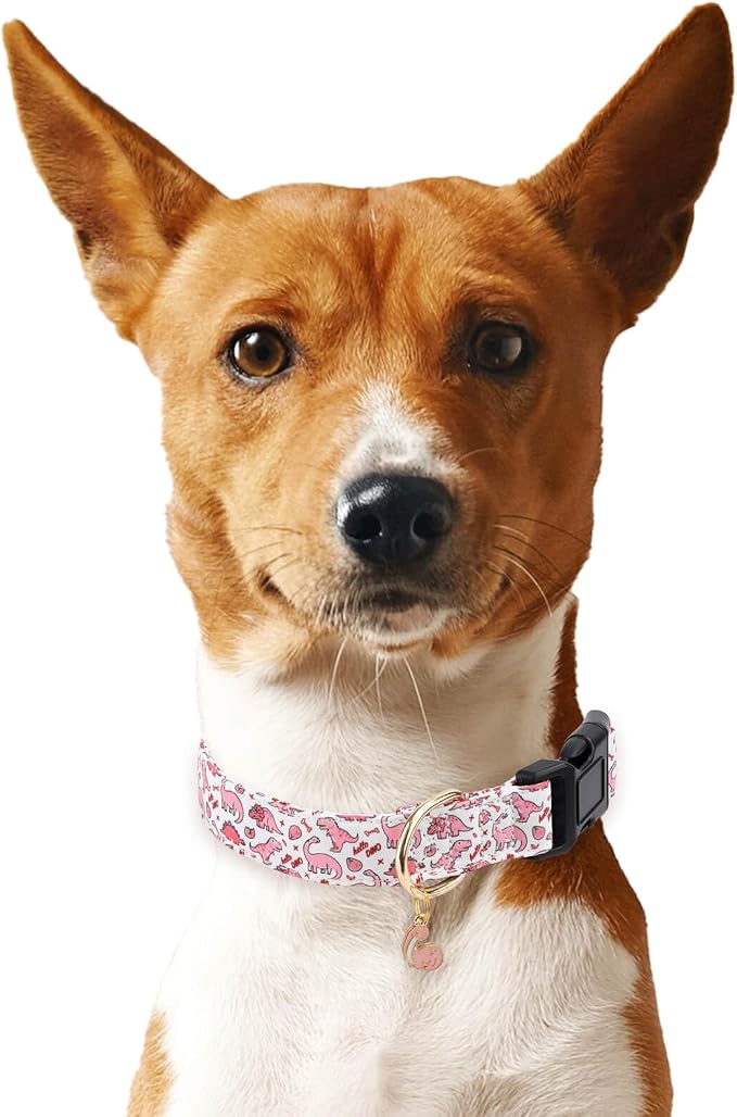 Cotton Dog Collar,Soft and Cute Puppy Collars with Pink Dinosaur Patterned Design for Girl Female Boy Dogs,Adjustable Buckle Pet Collar for Small Medium Large Dogs (Pink Dinosaur, S)