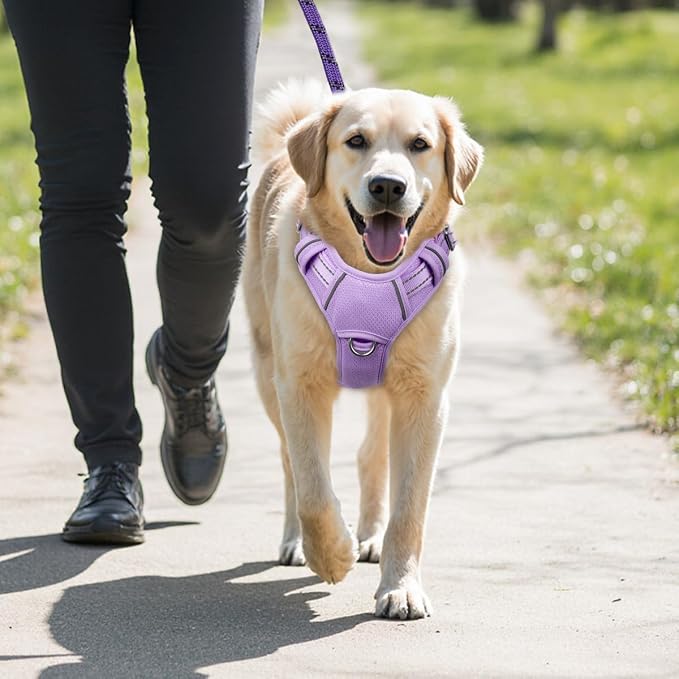 BARKBAY No Pull Dog Harness Large Reflective Dog Harness with Front Clip and Easy Control Handle for Walking Training Running with ID tag Pocket(Violet Purple,XL)