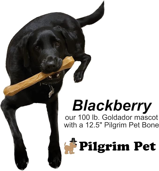 Dog Bones Long Lasting 5-Pack – Natural Compressed Rawhide Bones for Aggressive Chewers – Zero Flavors, Preservatives – Safe Dog Treats Ideal for All Breeds and Sizes (Medium ~ 6.5")