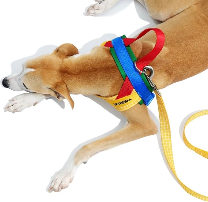 VETRESKA MoMA Dog Harness for Medium Large Dogs, Easy Walk Dog Harness and Leash Set, No Pull Dog Vest Harness for Walking and Training, Adjustable, Take Control & Anti-Twist Pet Lead Combo(Yellow, M)