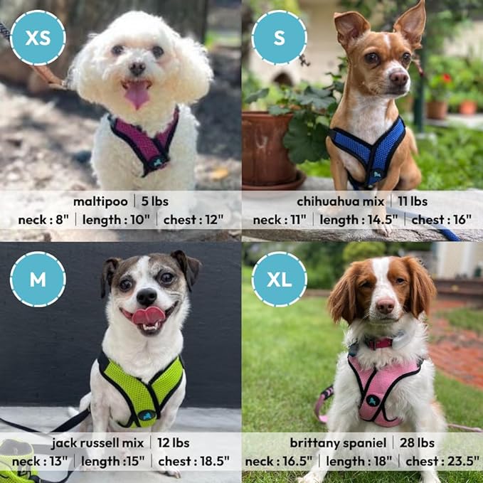 Gooby Comfort X Step in Lite Dog Harness - Choke Free, Escape Free with Light Breathable Mesh - Step in Dog Harness for Small and Medium Dogs - Quick Release Buckle, Metal D-Rings - Pink, Medium