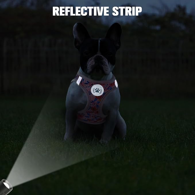 BEAUTYZOO Step in Dog Harness and Leash Set,Floral Pattern Reflective Dog Harness No Pull No Choke Puppy Harness for Small Medium Large Dogs Cats,Soft Padded Mesh Vest Harnesses for Girl and Boy Pets