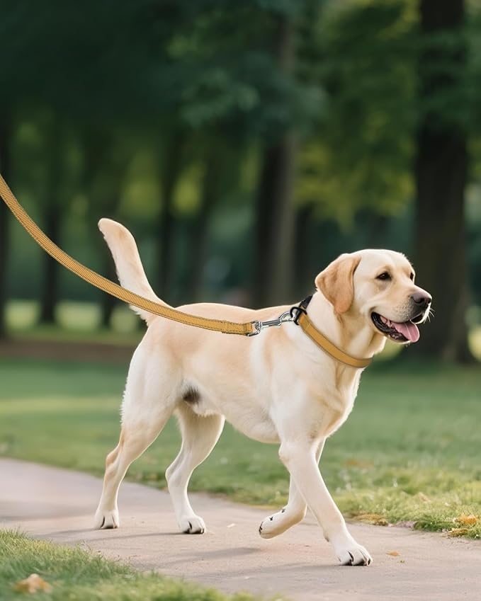 Joytale Extra Large Dog Collar, Wide Double-Sided Reflective Nylon Collar for Night Safety, Adjustable Quick-Release for Gentle Giants, Khaki, XL (1 1/4" Width)