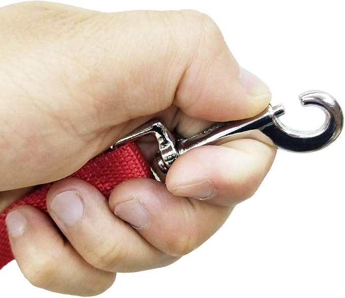 Nylon Training Dog Leash for Small Medium Large Dogs, 15ft 20ft 30ft 50ft Long Leash Dog/Puppy Lead for Obedience Recall Training, Camping (1" x 15ft, Red)