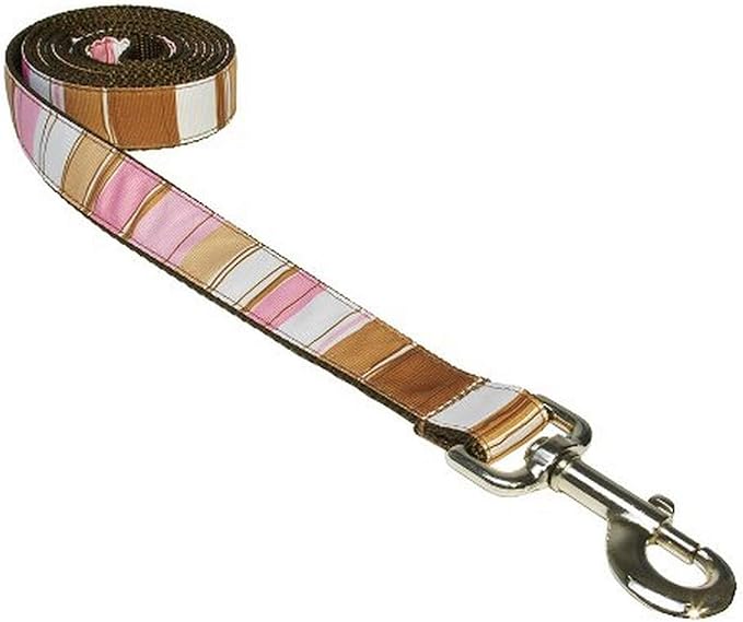 Small Brown/Multi Stripe Dog Leash: 3/4" Wide, 4ft Length - Made in USA.