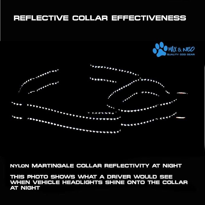 Max and Neo Nylon Martingale Collar - We Donate to a Dog Rescue for Every Collar Sold (X-Small, Blue)