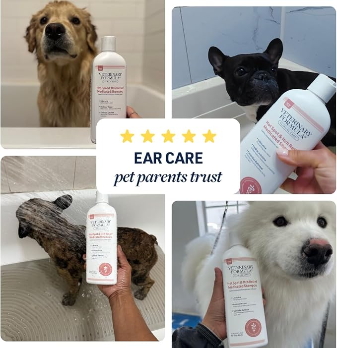 Veterinary Formula Clinical Care Hot Spot & Itch Relief Medicated Shampoo for Dogs and Cats 16 Fl Oz – Helps Alleviate Sensitive Skin, Scratching, and Licking of Coat (2 Pack)