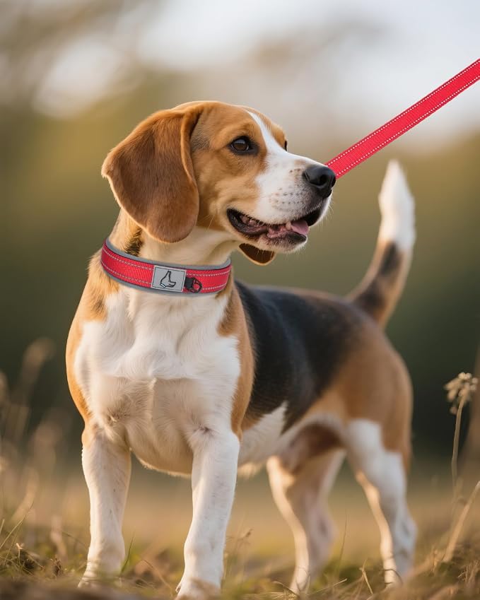 Joytale Dog Collar for Medium Dogs, Neoprene Padded and Adjustable, Reflective Wide Heavy Duty Pet Collars with Durable Metal Belt Buckle for Walking, Red, M