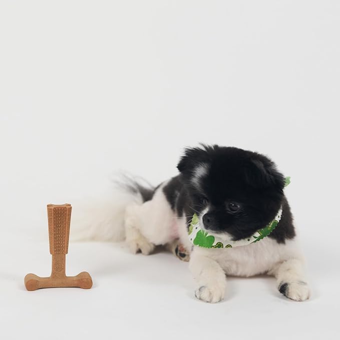 SPOT Bam-Bones Plus T-Bone, Bamboo Fiber & Nylon Dog Chew, Durable for Aggressive Chewers, Non-Splintering, for Adult Dogs & Teething Puppies Under 30lbs, 4in, Chicken Flavor