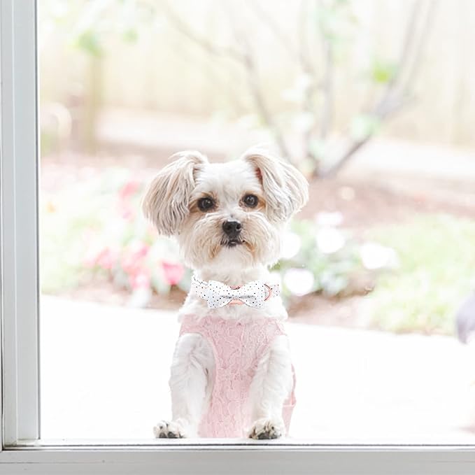 Elegant little tail Dog Collar with Bow, Dot Pattern Soft Comfy Bowtie Dog Collar Adjustable Pet Gift Collars for Small Medium Large Dogs