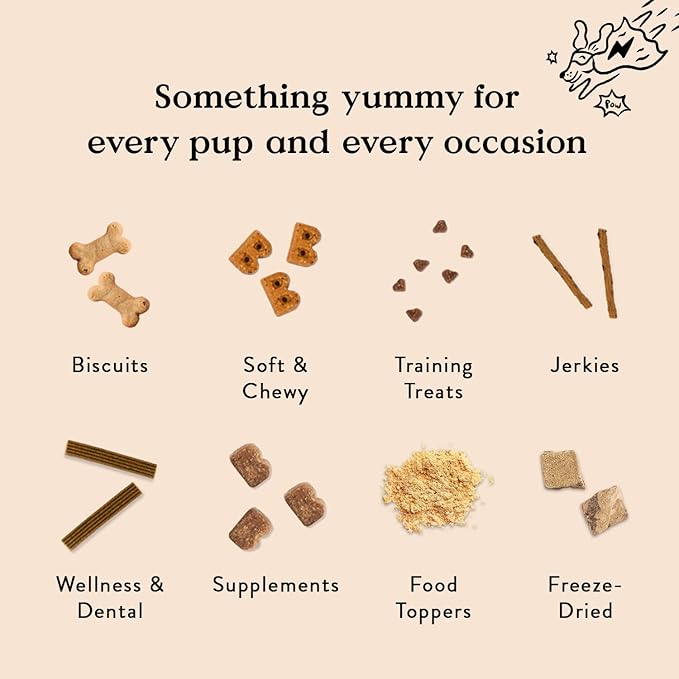 Bocce's Bakery Quack, Quack, Quack Training Treats for Dogs, Wheat-Free Dog Treats, Made with Real Ingredients, Baked in The USA, Natural & Low Calorie Training Bites, Duck & Blueberry, 6 oz