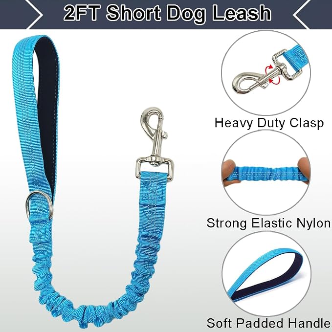 2FT Bungee Dog Leash, Highly Reflective Strong Nylon Traffic Leash, Shock Absorbing Short Pet Lead for Large Medium Dogs Walking Training Controlling, Blue