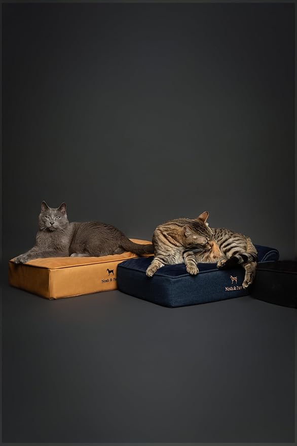 NOAH & PAW Small Dog Bed, 20x15x6.5 Inch, Cat Bed for Indoor Cats, Orthopedic Eggshell Memory Foam Infused with Cooling Gel, Water Resistant, Machine Washable, Includes Inner Cover (Velvet Collection)