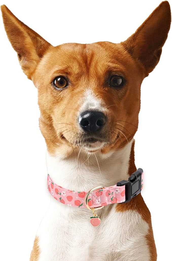 Cotton Dog Collar,Soft and Cute Puppy Collars with Dinosaur Patterned Design for Girl Female Boy Dogs,Adjustable Buckle Pet Collar for Small Medium Large Dogs (Pink Peach, L)