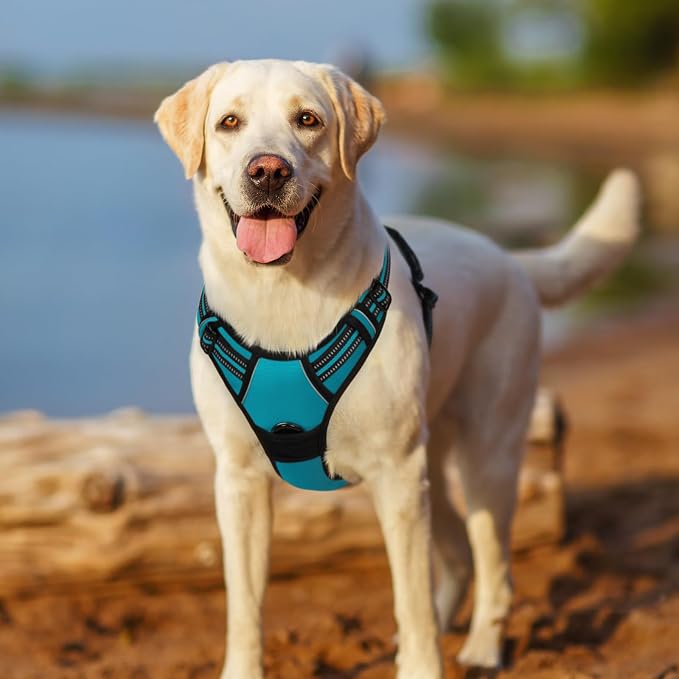 rabbitgoo Dog Harness No Pull with 2 Leash Clips, Adjustable Soft Padded, Reflective Oxford No Choke Pet Vest with Easy Control Handle for Large Dogs, Teal, XL