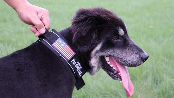 Tactical Dog Collar with Handle for Large Dogs, 2.5"Wide Thick Heavy Duty Metal Buckle Dog Collar with Soft Neoprene Padded Lining, Military Service Reflective Collar for Training(Black,L,XL)