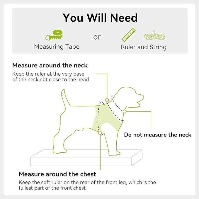 Joytale Small Dog Harness, Breathable Mesh Step-in Vest, Reflective Soft Padded Harnesses Small Sized Dog for Walking, Green, S