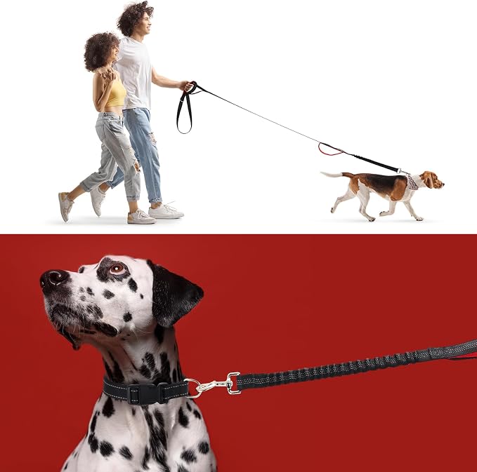 BTINESFUL 8ft Dog Leash with 3 Handles, Triple Handle, Reflective, Shork Absorbing Bungee, Control & Safety Training for Large Medium Dogs (Army Green, 1 in x 8 ft)