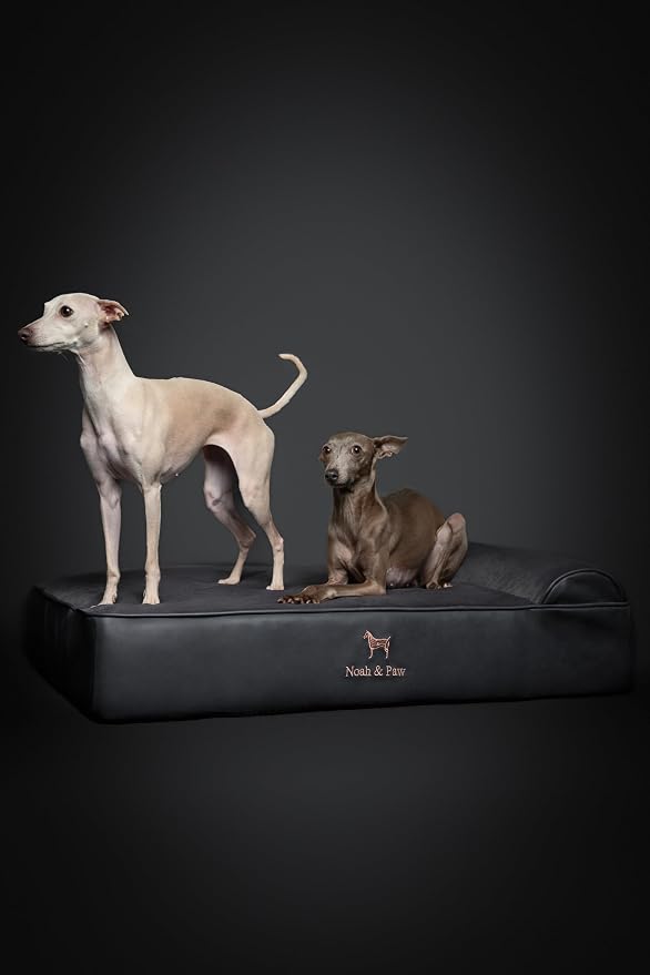NOAH & PAW Large Dog Bed, 35x25x8.7 Inch, Orthopedic Dog Beds, Eggshell Memory Foam Infused with Cooling Gel, Water Resistant, Machine Washable, Includes Inner Cover (Faux Leather)