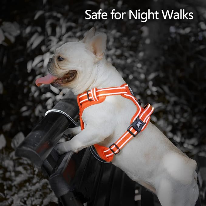 PoyPet No Pull Dog Harness, No Choke Reflective Dog Vest, Adjustable Pet Harnesses with Easy Control Padded Handle for Small Medium Large Dogs(Orange Matching Trim,XS)