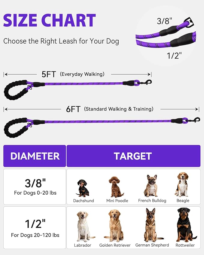 Joytale Dog Leash for Small Dogs, Heavy Duty Nylon Leashes with Comfortable Padded Handle and Highly Reflective Threads, Ideal for Walking and Training, Purple, 6'×3/8''