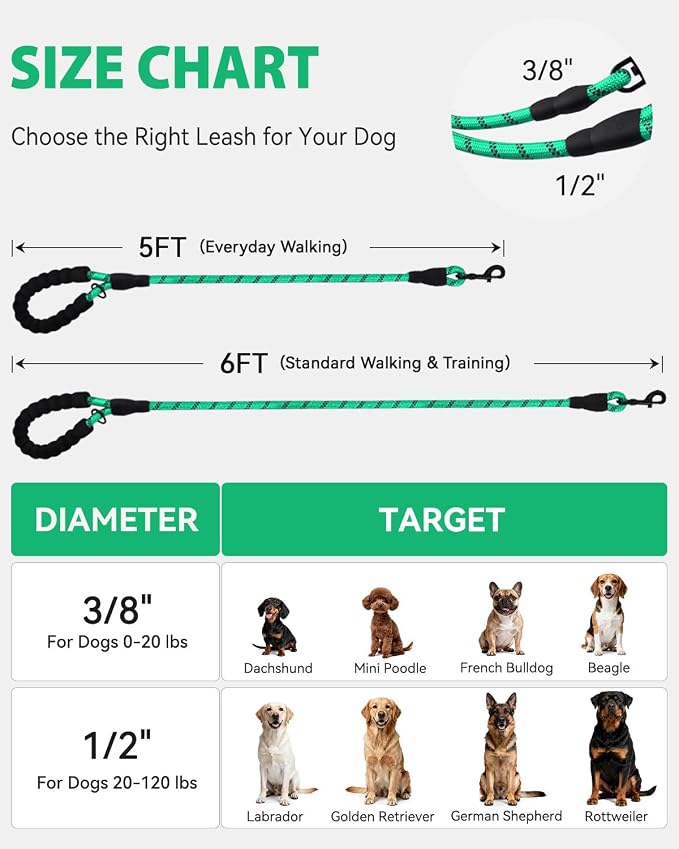 Joytale Dog Leash for Small Dogs, Heavy Duty Nylon Leashes with Comfortable Padded Handle and Highly Reflective Threads, Ideal for Walking and Training, Teal, 6'×3/8''