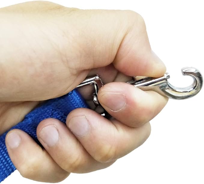 Nylon Training Dog Leash for Small Medium Large Dogs, 15ft 20ft 30ft 50ft Long Leash Dog/Puppy Lead for Obedience Recall Training, Camping (20ft, Blue)