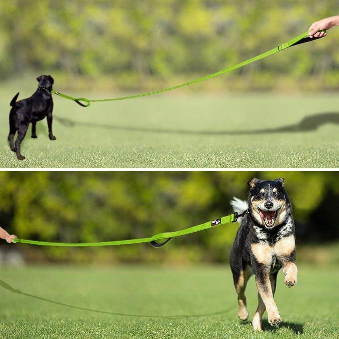 Plutus Pet Double Handle Dog Leash 5ft, Heavy Duty, Reflective Dual Handle Dog Leash for Safety Training, for Medium Large Dogs,2 Handle Leads(Green)