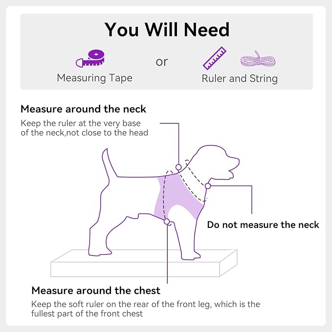 Joytale Small Dog Harness, Breathable Mesh Step-in Vest, Reflective Soft Padded Harnesses for Medium Dogs, Purple, XL